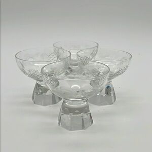 Nachtmann Andernach, Coupe Cordial Glass Etch Flower/Roses, Octagonal (Set of 4)
